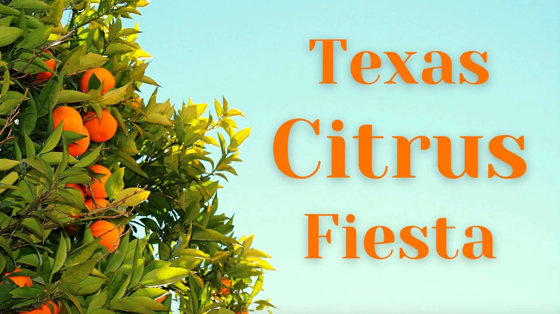 Texas Citrus Fiesta Parade of Oranges & Fun Fair 2023 Go Gulf States