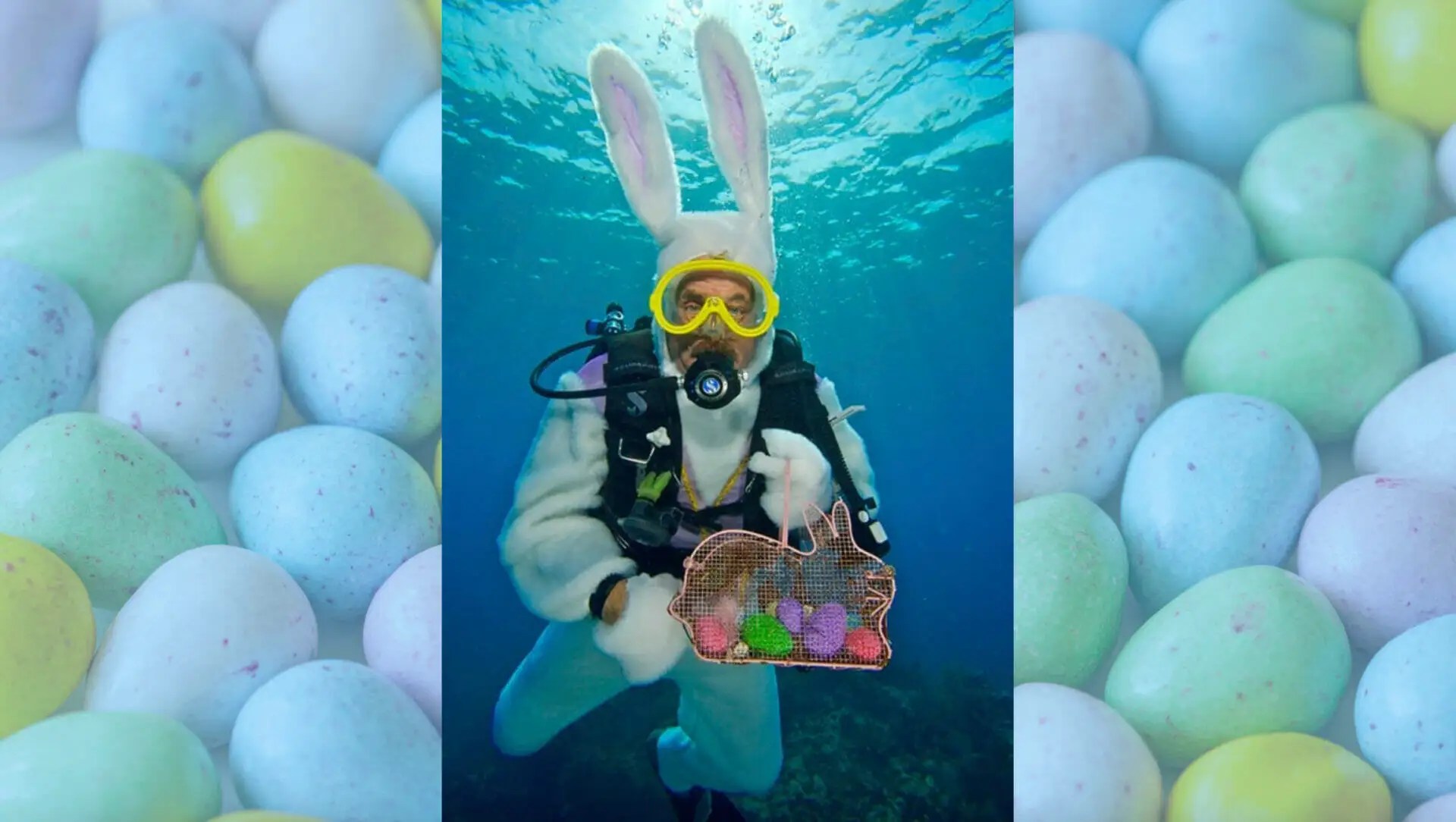 Underwater Easter Bunny Dive & Snorkel Go Gulf States(08)