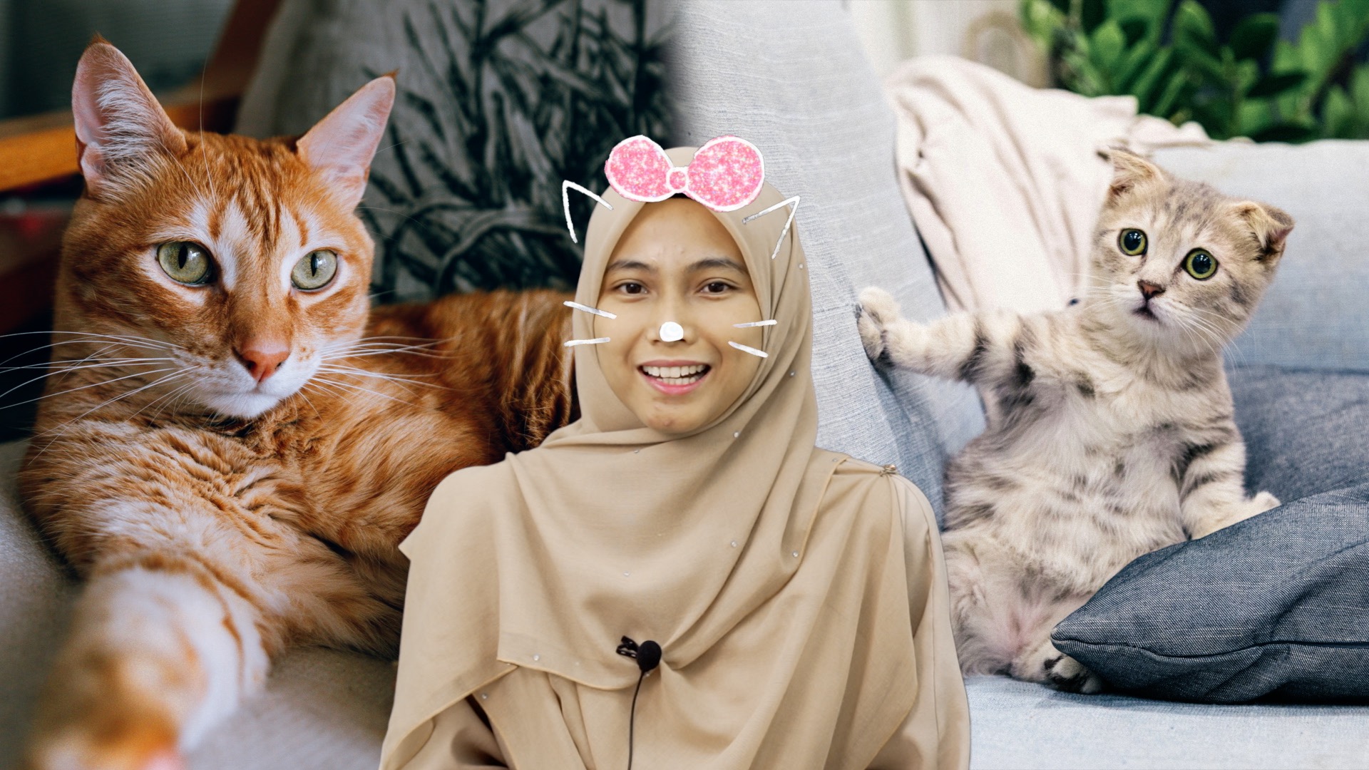 Kenapa Kucing Jantan Makan Anak Kucing? ML Studios