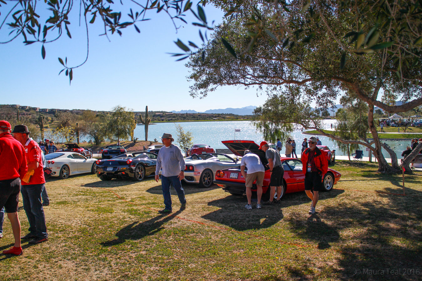 Beautiful lakeside spot at the Fountain Hills car show Maura Teal