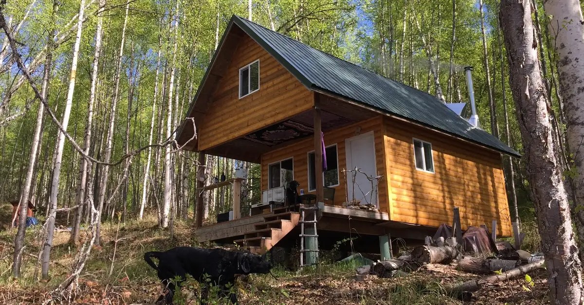 Cabin Private Lagoon on 51/2 Acres on Honeybee Lake in Willow