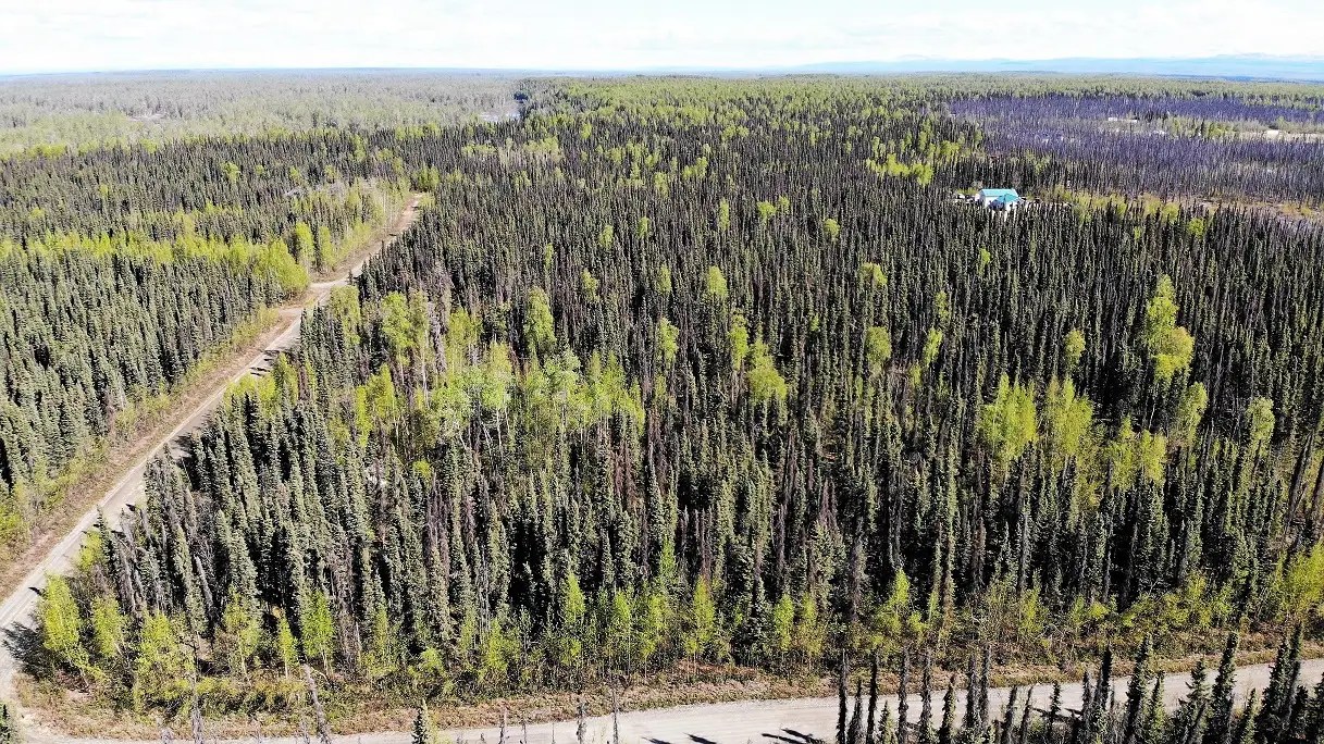 Remote Properties Kenai Peninsula Alaska, Land, Cabins etc.