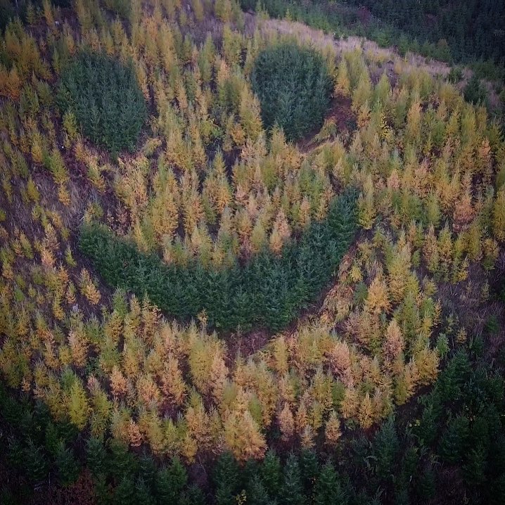 Willamina, Oregon, off Hwy 18 MLTSHP