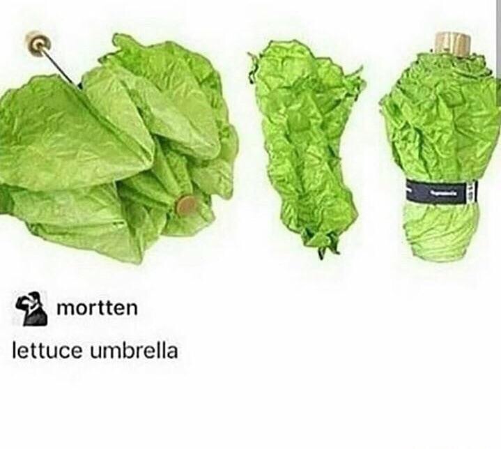 Lettuce umbrella MLTSHP