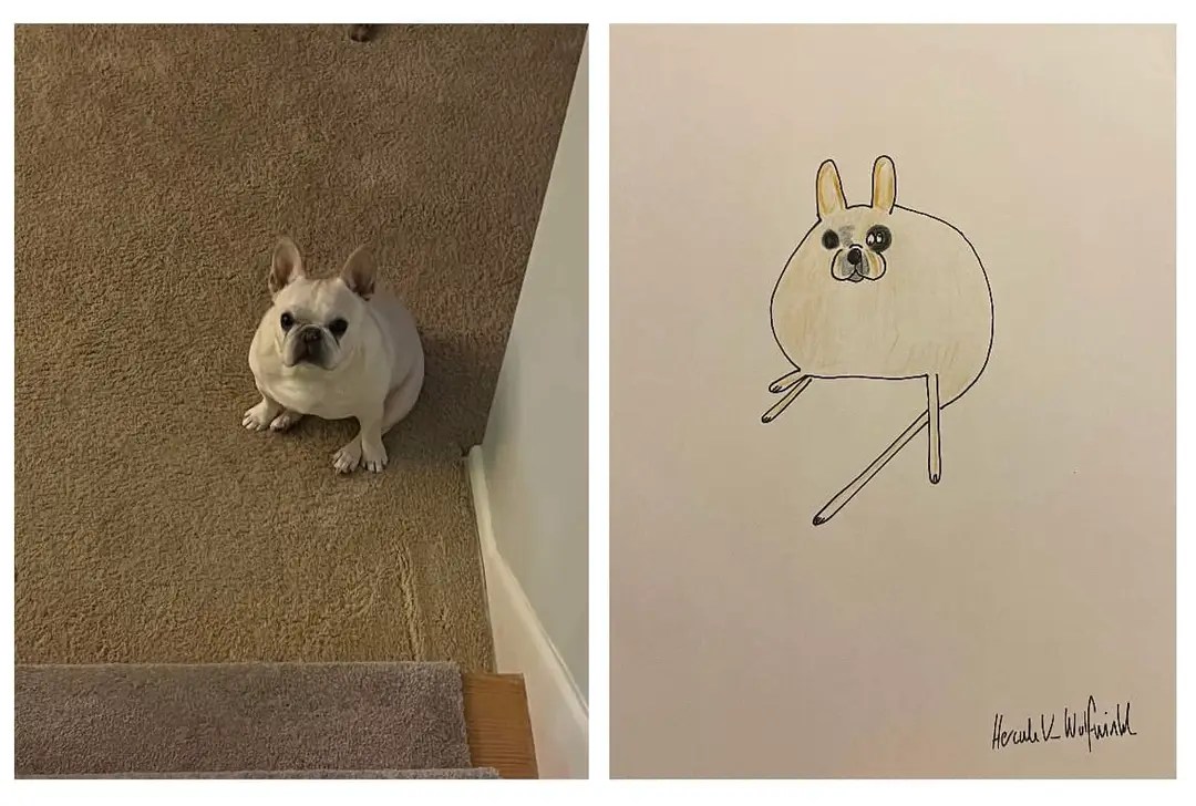 Pet portraits by Hercule MLTSHP