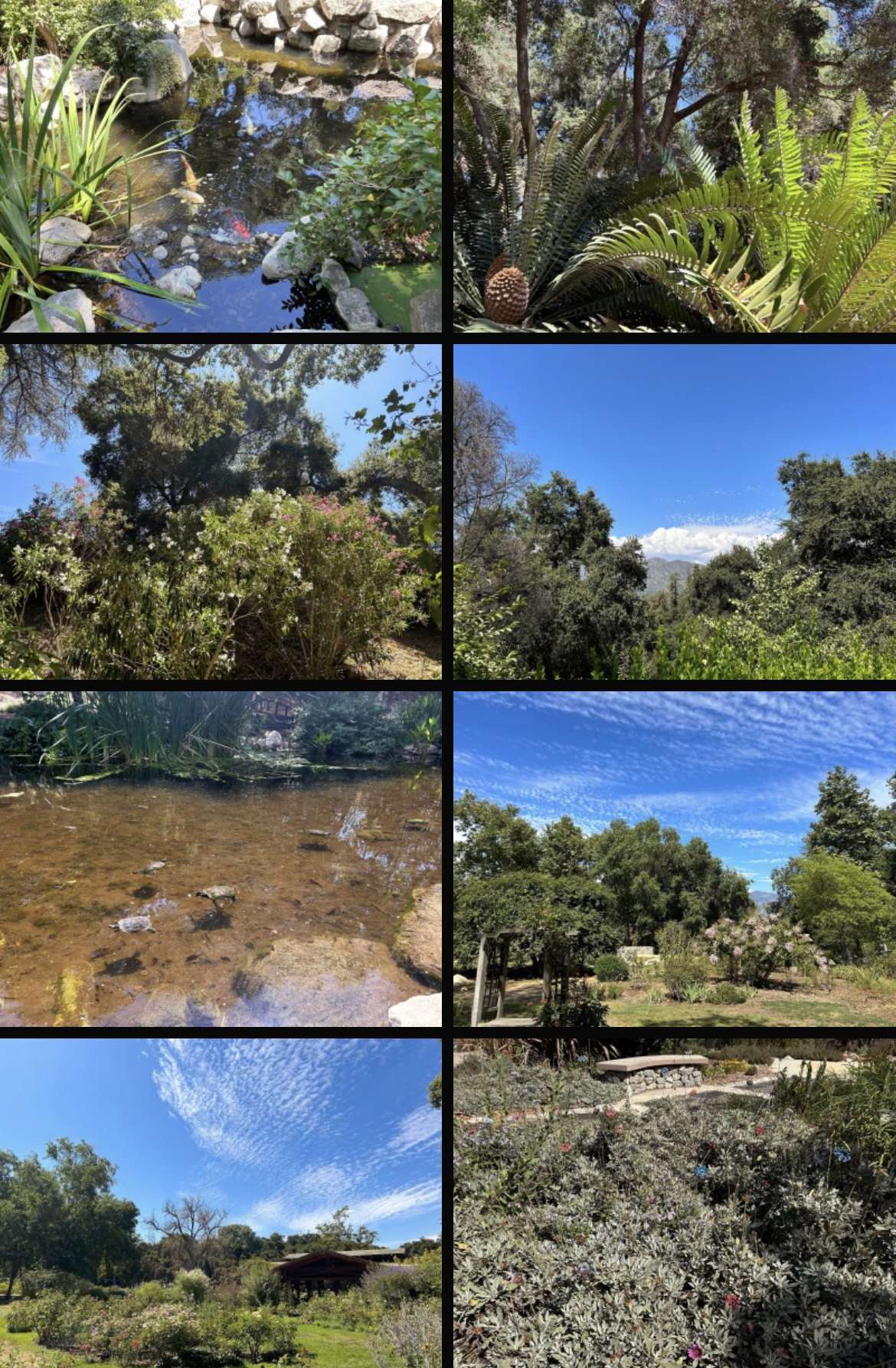 First time at Descanso Gardens, an absolutely beautiful place! MLTSHP