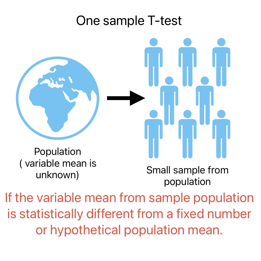 Types of T tests in Statistics ML Vidhya
