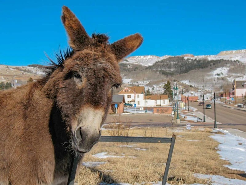 Historic Cripple Creek Colorado Pikes Peak Region Attractions