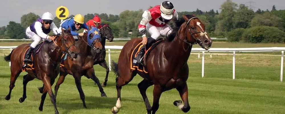 The Bookies Enemy Review Horse Racing Betting Tipster