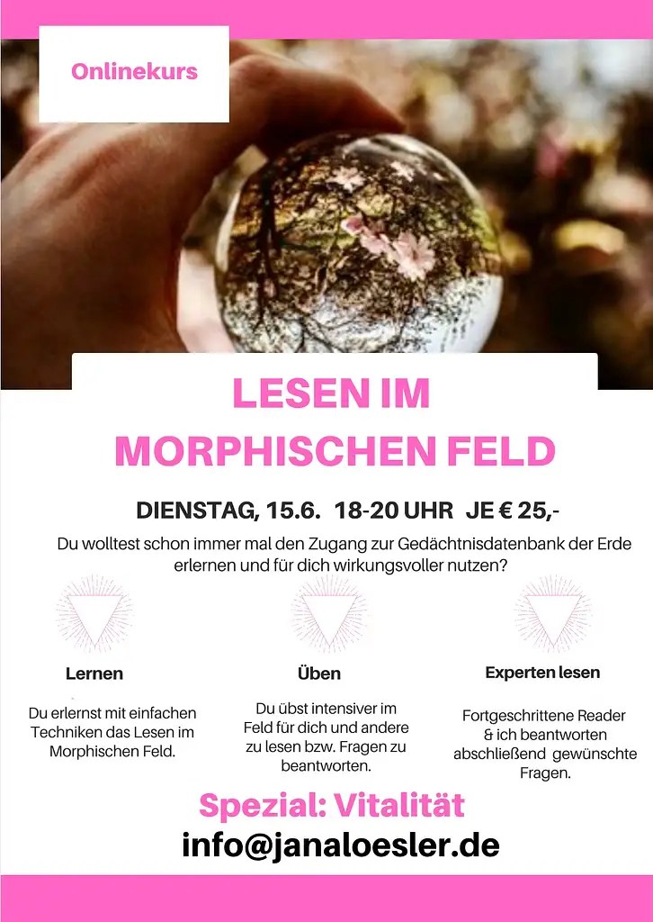 Lesen im morphischen Feld Jana Lösler