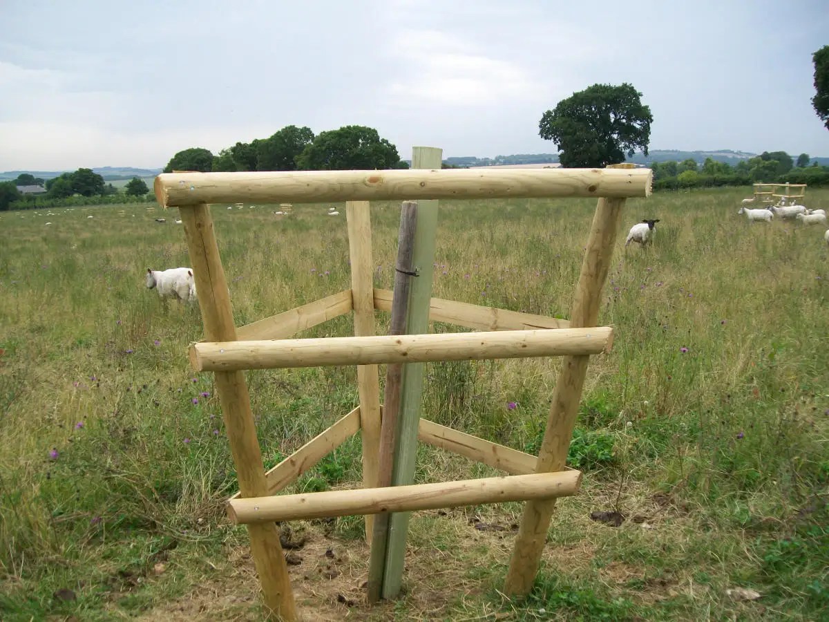 Tree Guards Kiwi Fencing Ltd