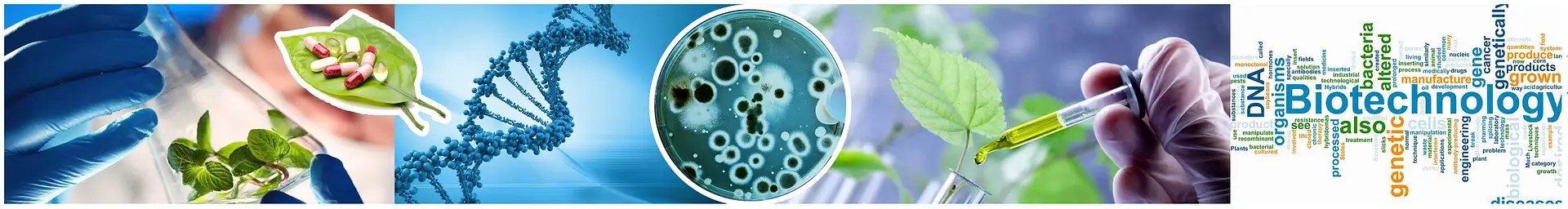 B.Sc. Biotechnology studyoverseas