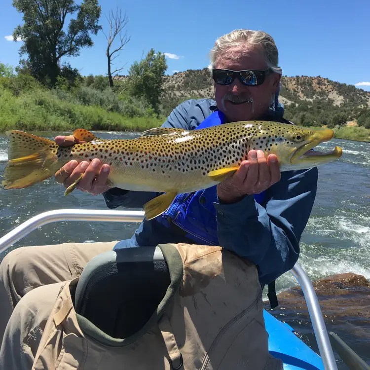 Animas River Fly Fishing Guides, Durango CO Heads Up Fly Fishing