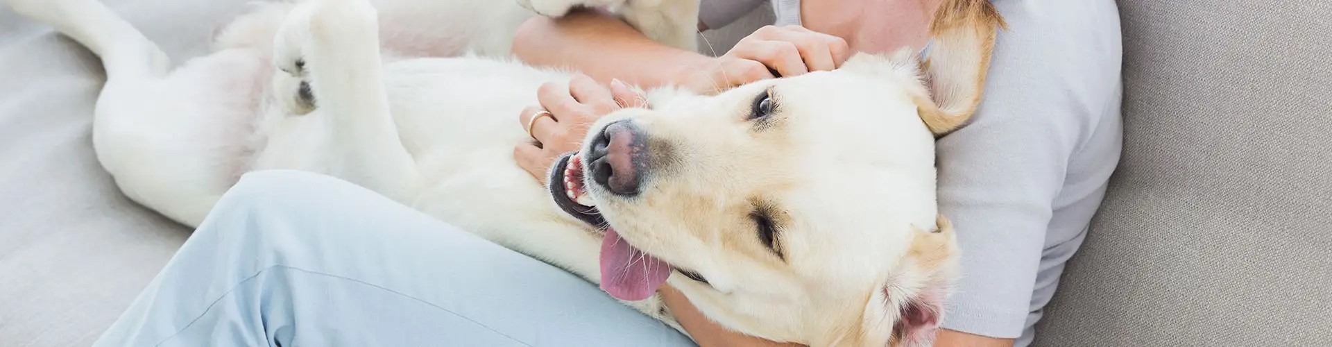 Staff Best Care Pet Hospital In Omaha