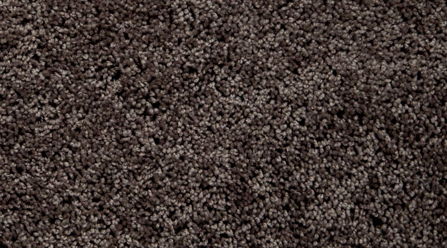 Shaw Into The Wind Nutshell Carpet America’s Floor Source