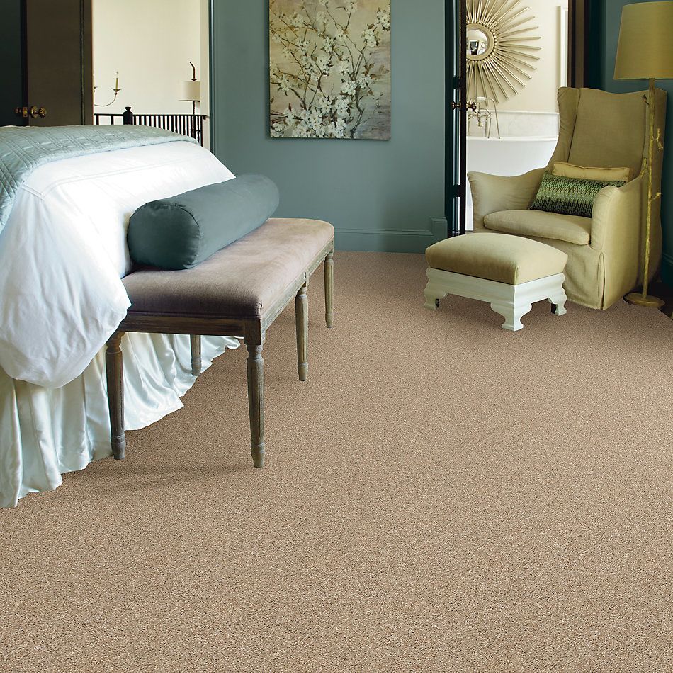 Shop Shaw Floors SFA Ocean Pines 15' Quiet Splendor 00121_EA059 Carpet