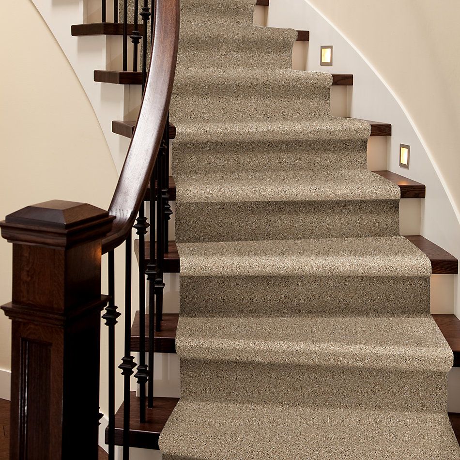 Shop Shaw Floors SFA Ocean Pines 15' Quiet Splendor 00121_EA059 Carpet