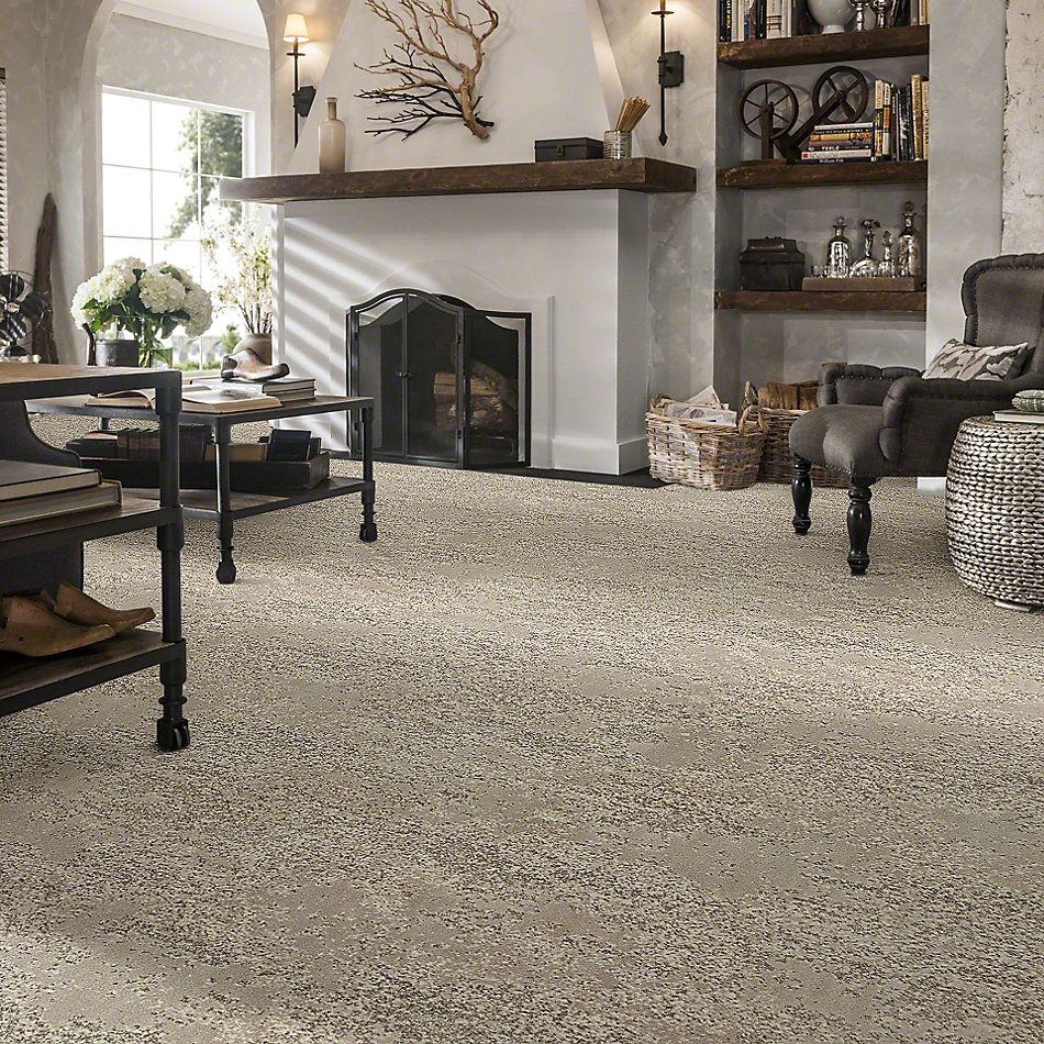 Shop Anderson Tuftex Tavares 00152_ZZ068 Carpet Shelley Carpets