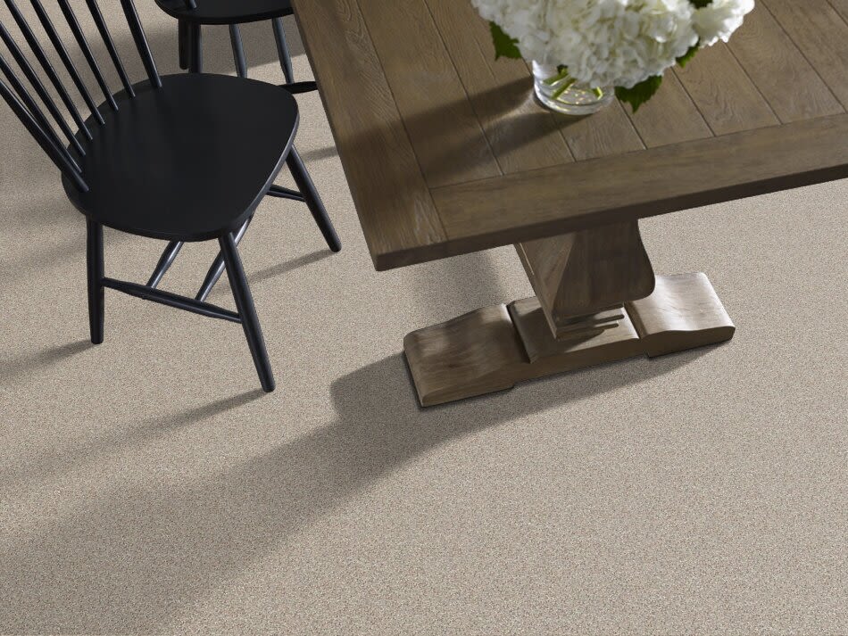 Shop Shaw Floors You Know It Leisurely 00152_E0807 Carpet Wacky's
