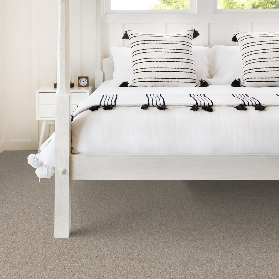 Shop Shaw Floors You Know It Leisurely 00152_E0807 Carpet Wacky's