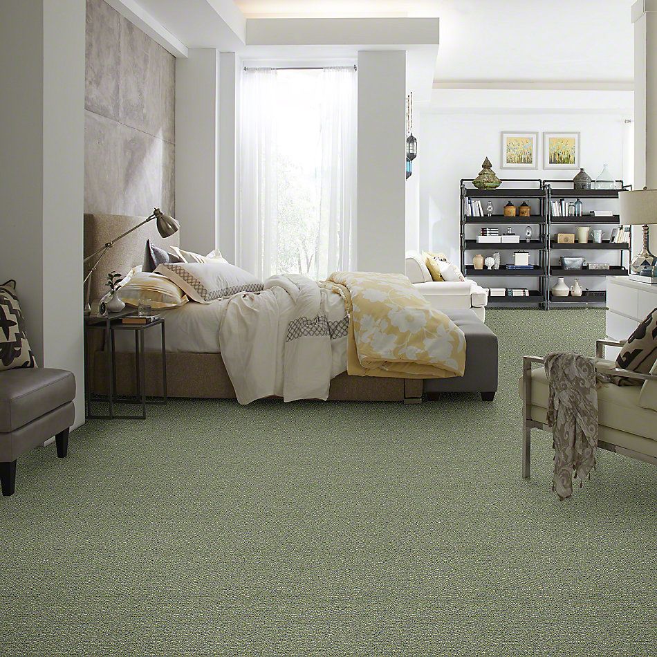 Shop Philadelphia Commercial Natural Path Riverview 00400_54636 Carpet
