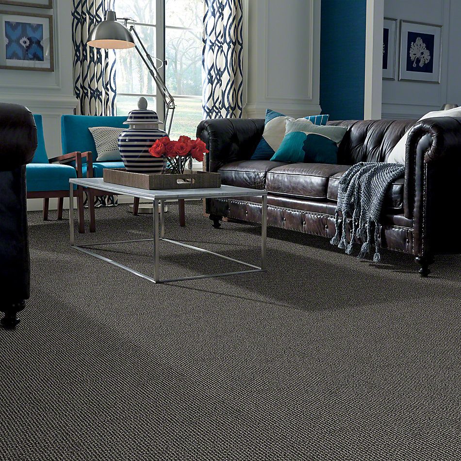 Shop Shaw Floors SFA Striking Yet Iron 00502_EA687 Carpet Pucher's