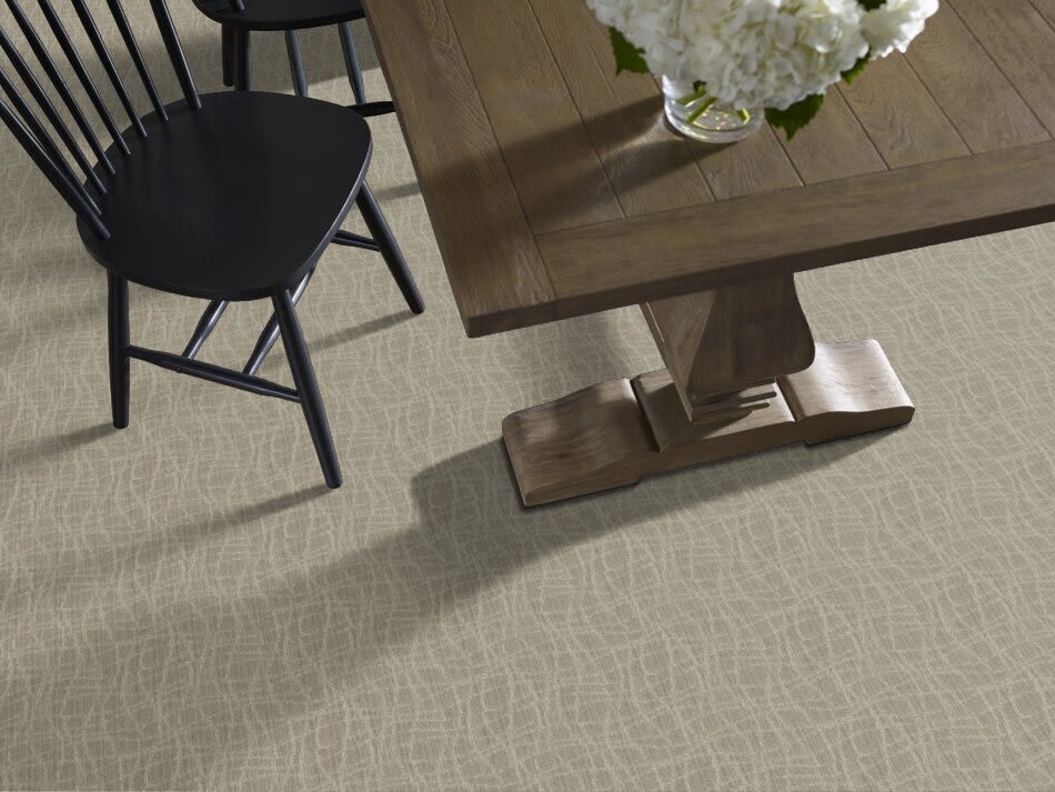 Shop Anderson Tuftex Value Collections Ts229 Pelican 00533_TS229 Carpet