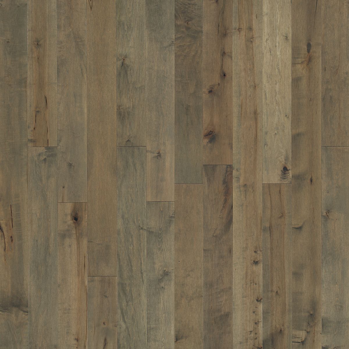 Hardwood Hallmark Novella Frost Maple II Flooring Liquidators