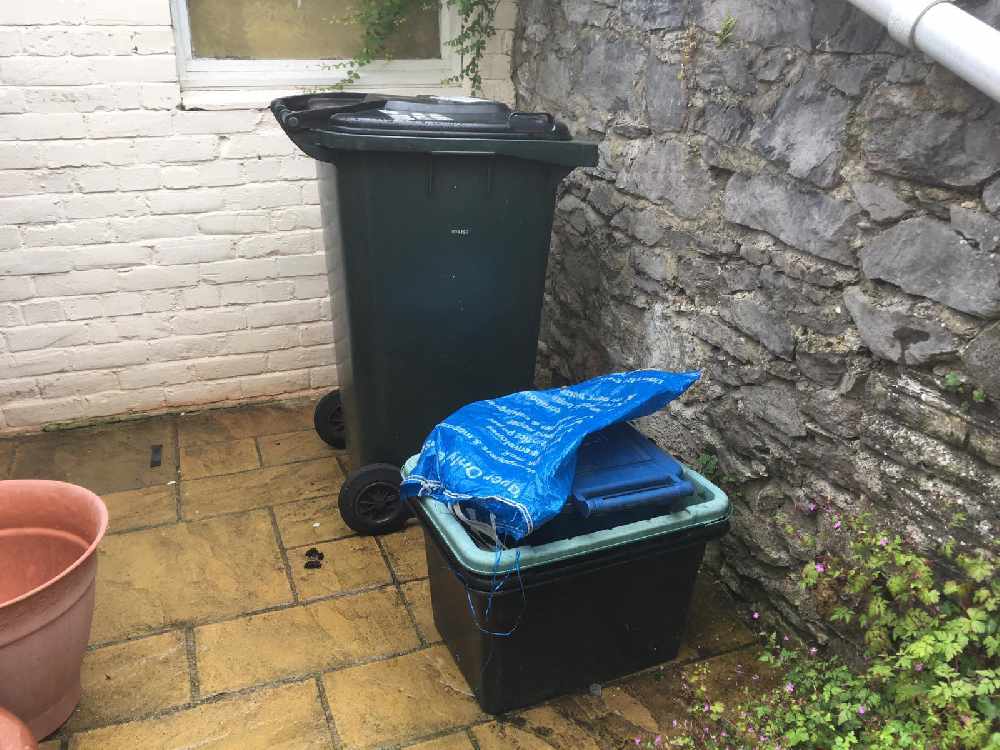 Can I Put Rubbish Out If SelfIsolating at Doris Lyon blog