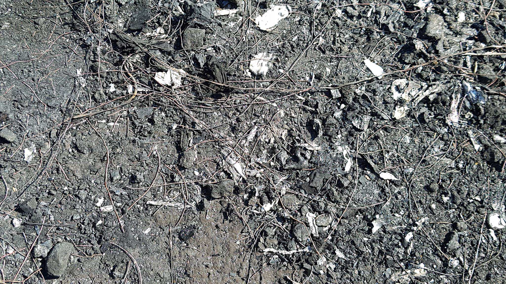 New photos show extent of rubbish dumping and cable burning by