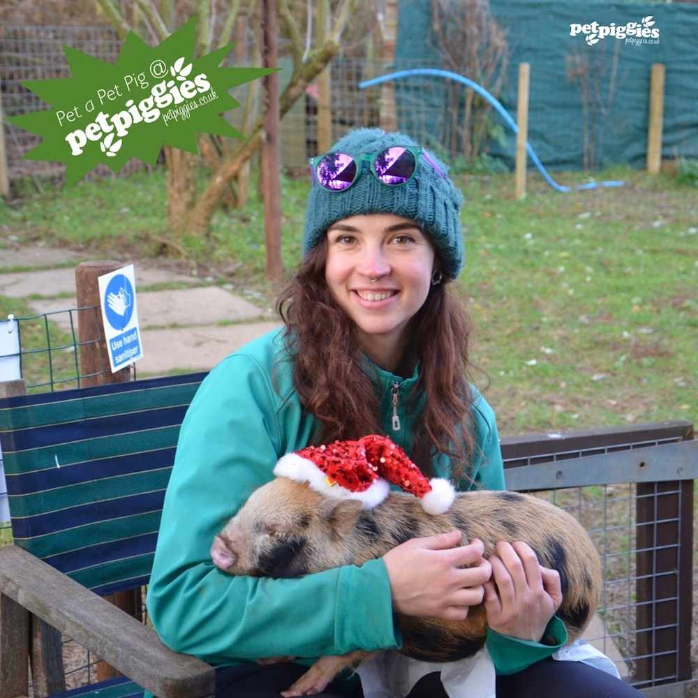 Petpiggies Mini Pig Encounters MKFM 106.3FM Radio Made in Milton Keynes