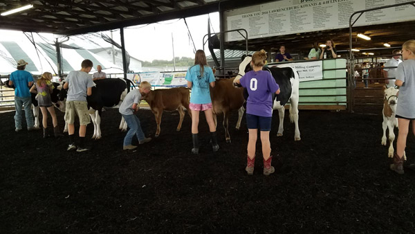 Lawrenceburg Indiana Fair 2023 Dearborn County 4-H Fair Runs June 20-25 - Eagle Country 99.3