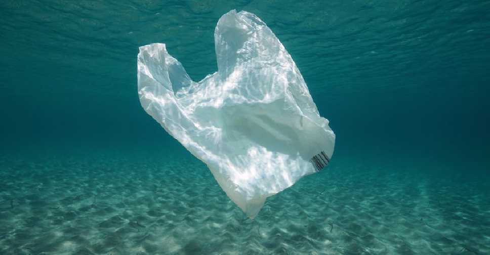 Abu Dhabi to ban singleuse plastic bags Radio Shoma