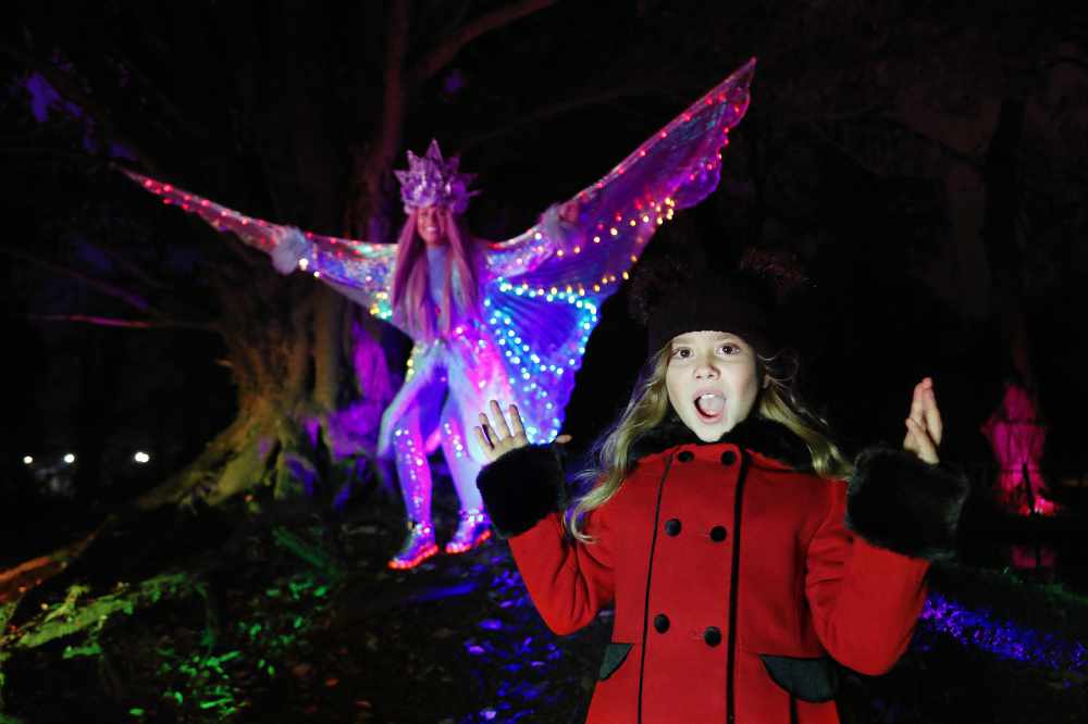 Enchanted Winter Garden returns to Antrim Castle Gardens U105