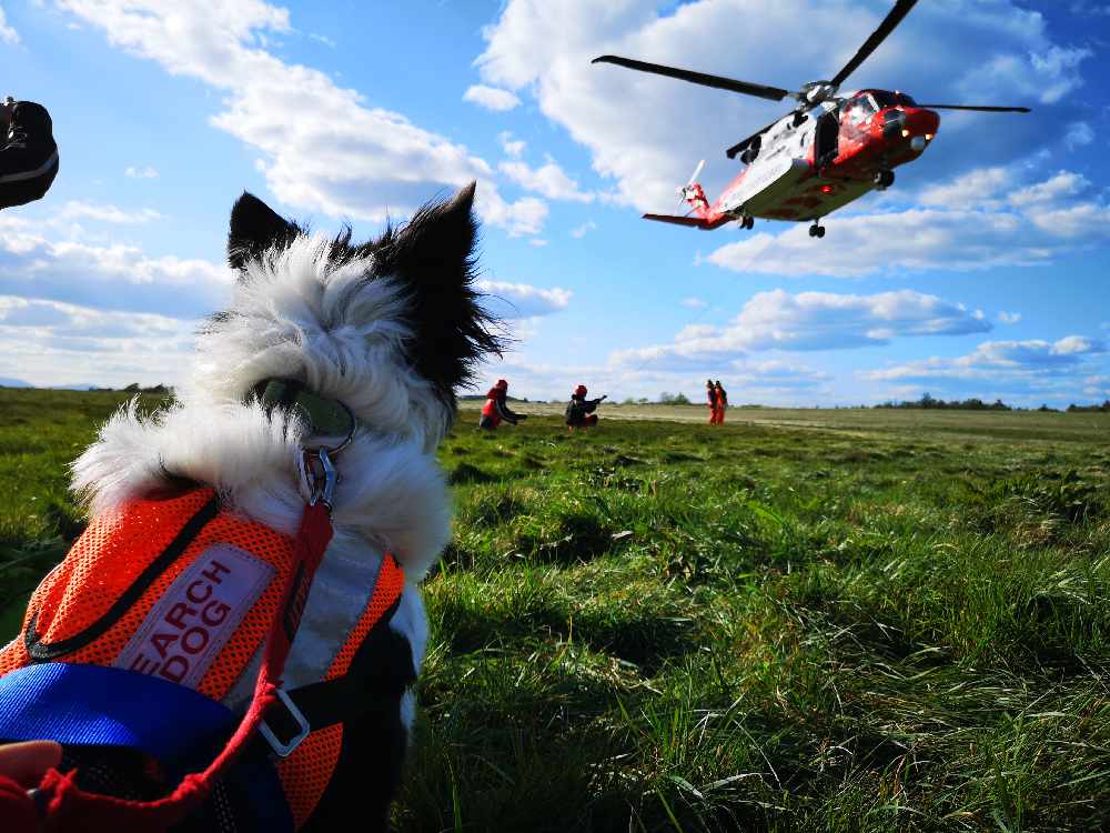 East Cork based dog rescue unit up and running Cork's 96FM