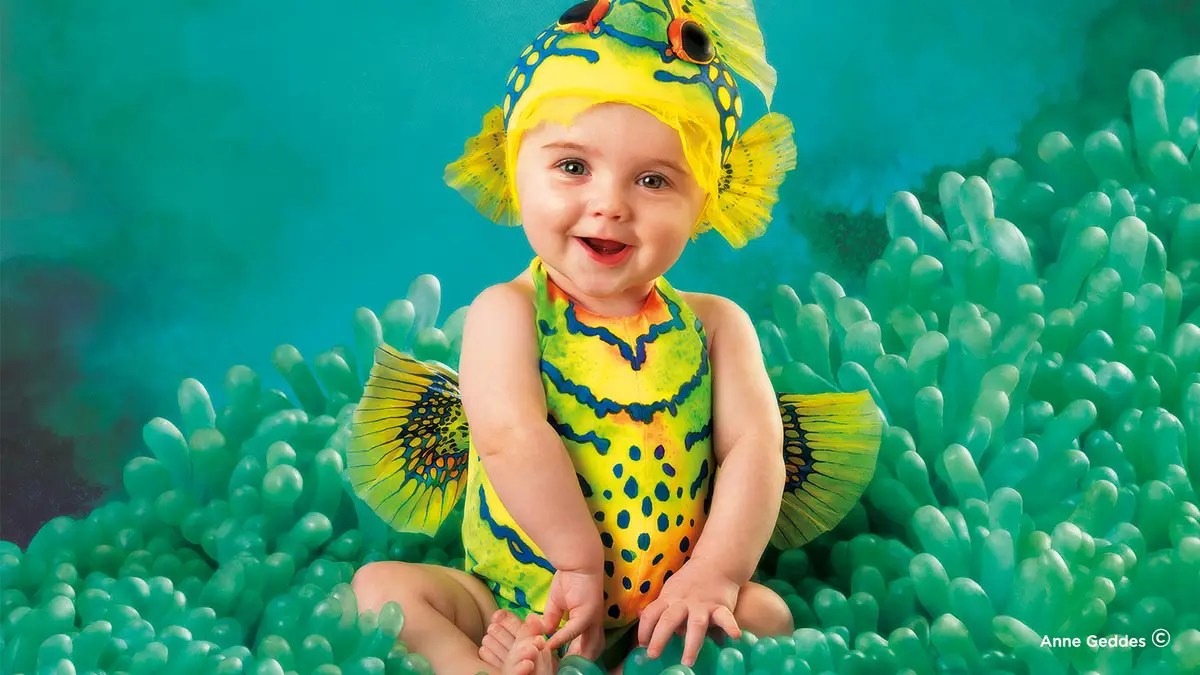 Anne Geddes' Secrets to Creative Baby Photography CreativeLive