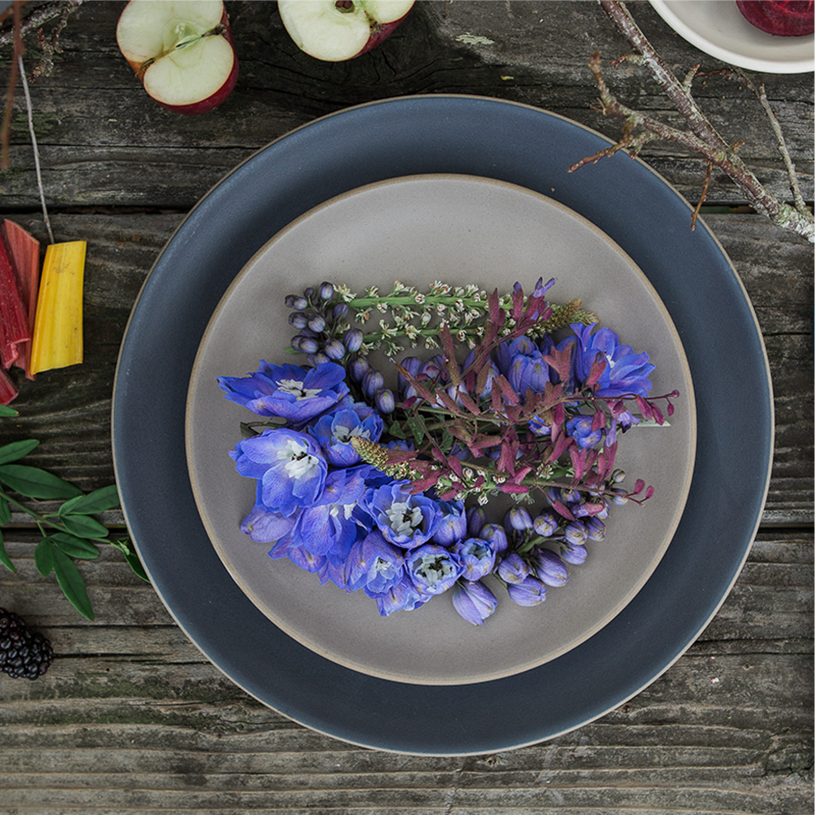 Heath Ceramics Coupe Dinner Plate