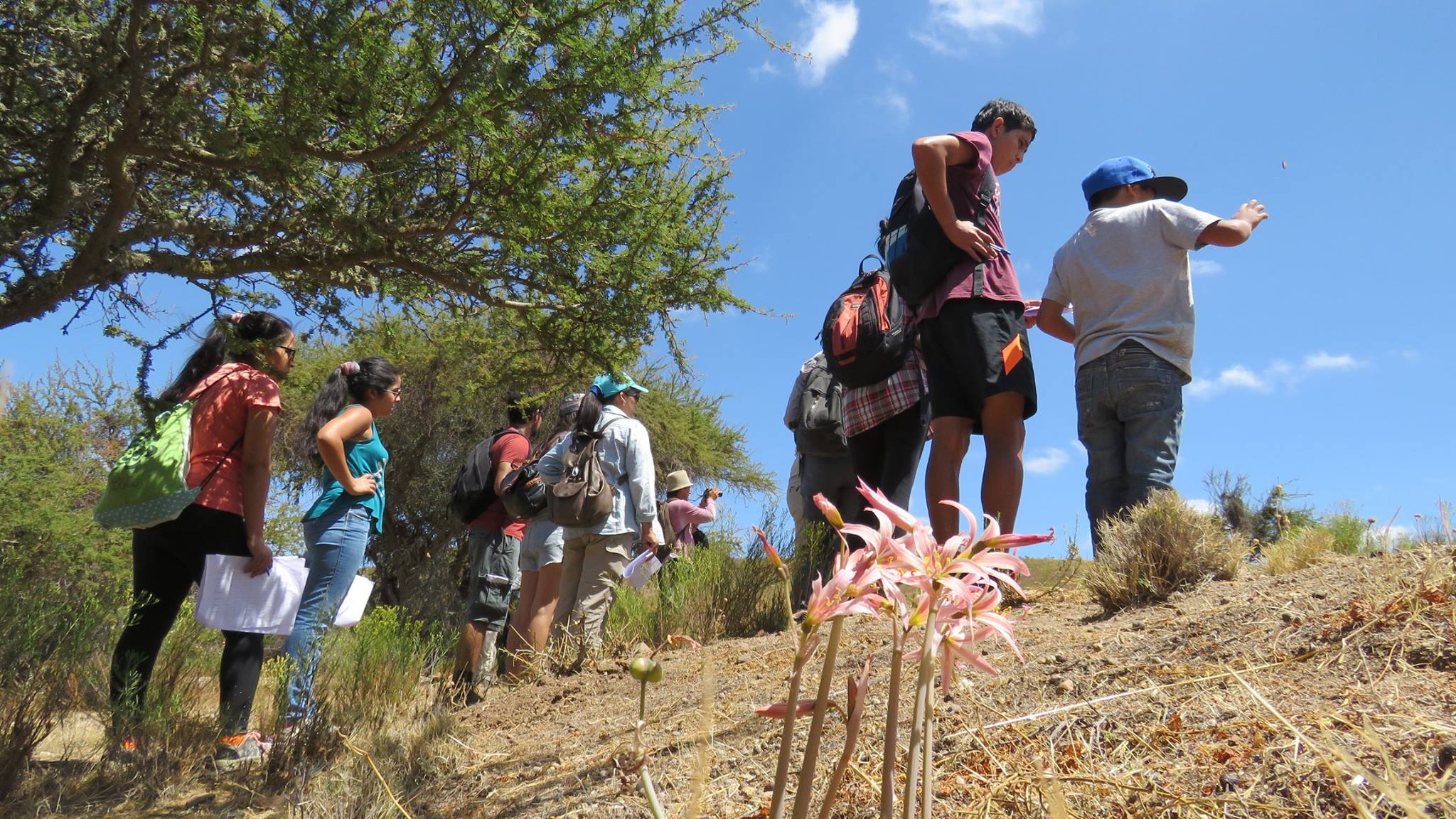 Regiones de refugio: El desarrollo de la comunidad y el proces...