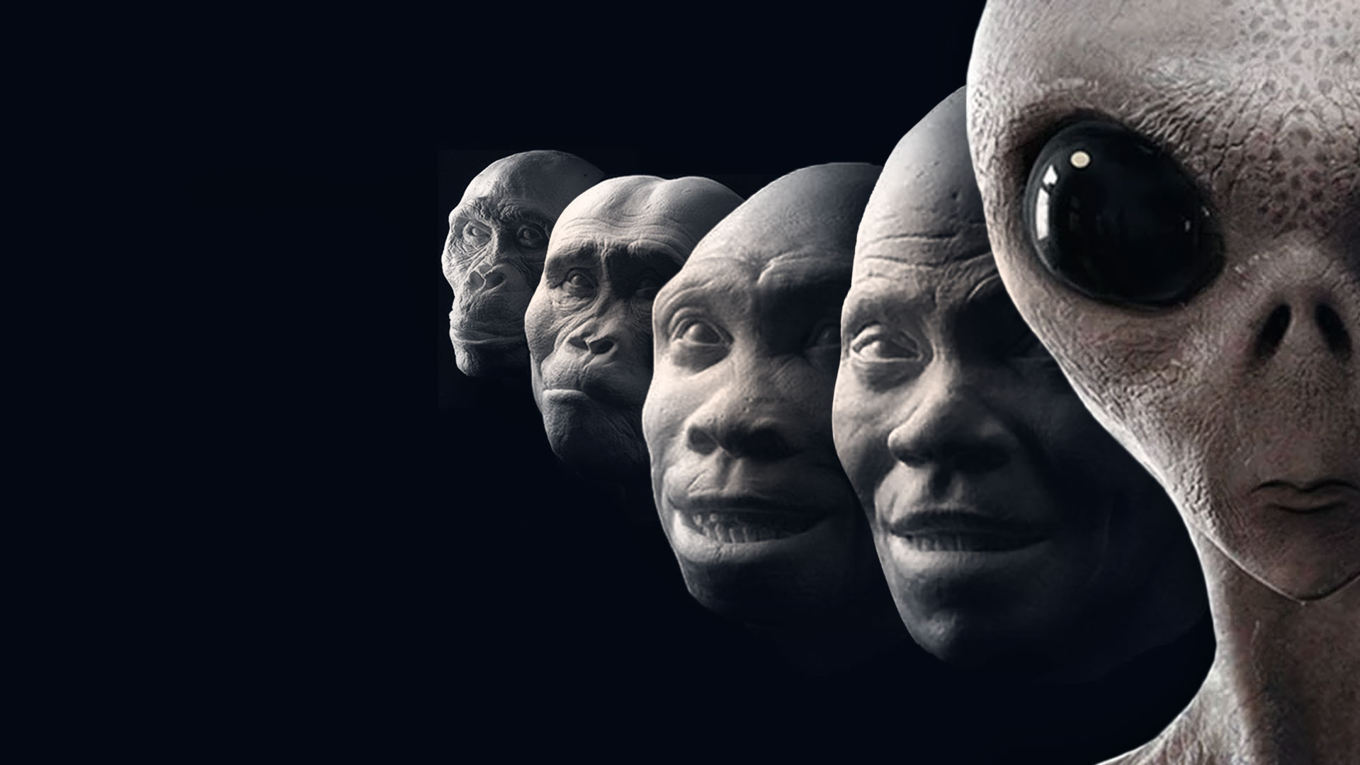 Future evolution from looks to brains and personality, how will humans