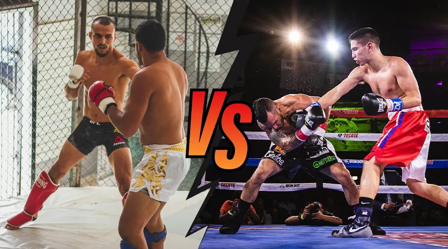 MMA VS Boxing What’s The Difference? MMA Buzz