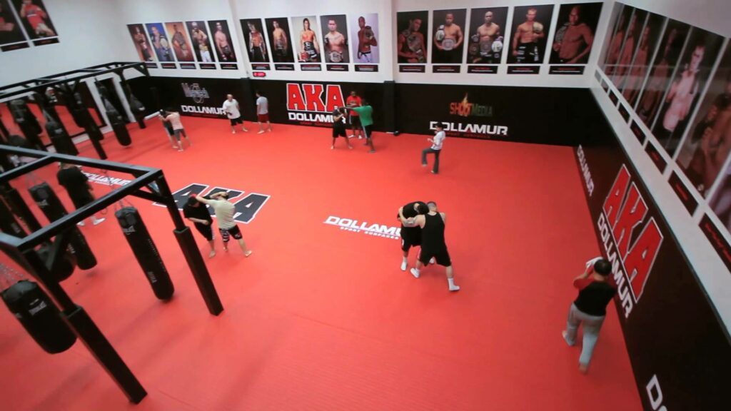 Five Fighters to Watch from American Kickboxing Academy