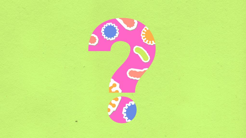 What Is a Question Mark Kick in MMA/Martial Arts? (How To) MMAUnit