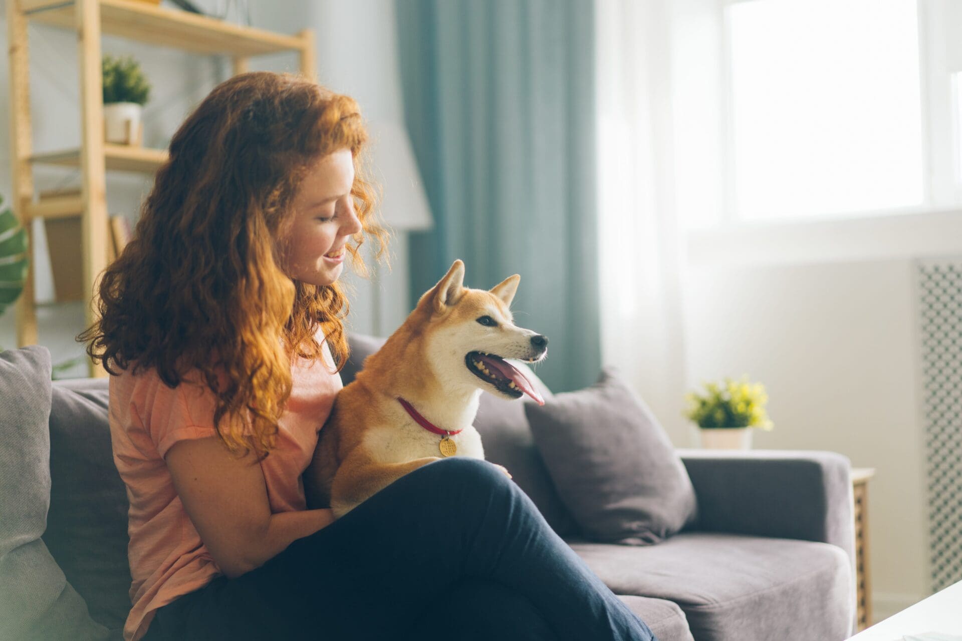 Making Your Apartment PetFriendly MMC Properties