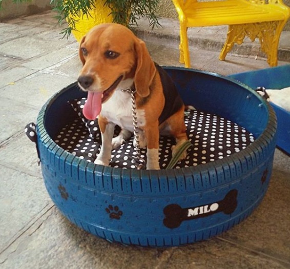 Brasileño convierte neumáticos en camas para perros