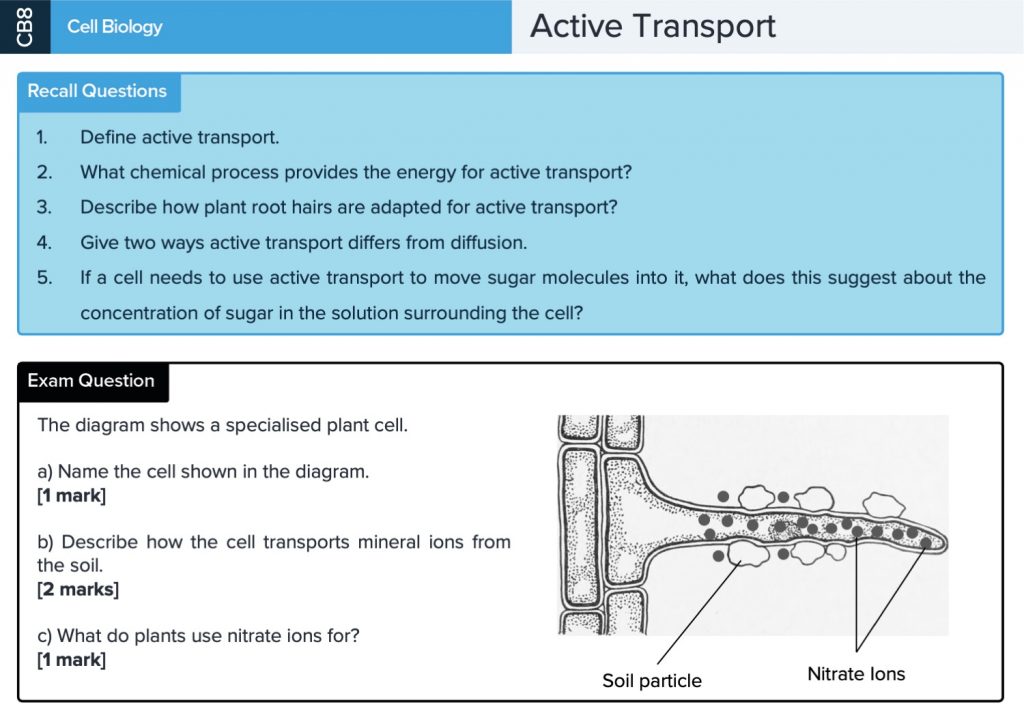 GCSE Biology Revision Cards GCSE Biology Flashcards MME