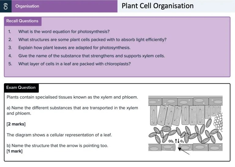 GCSE Biology Revision Cards GCSE Biology Flashcards MME