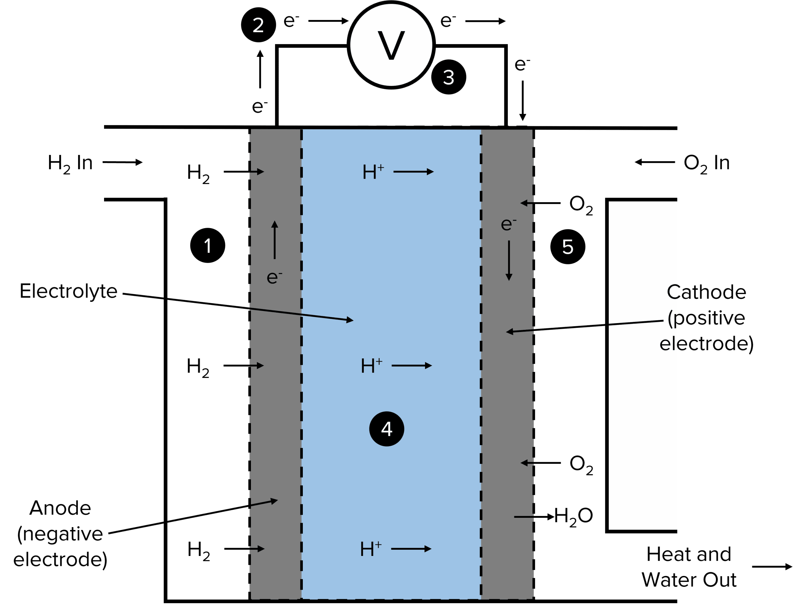 Electrochemical Cells Worksheets and Revision MME
