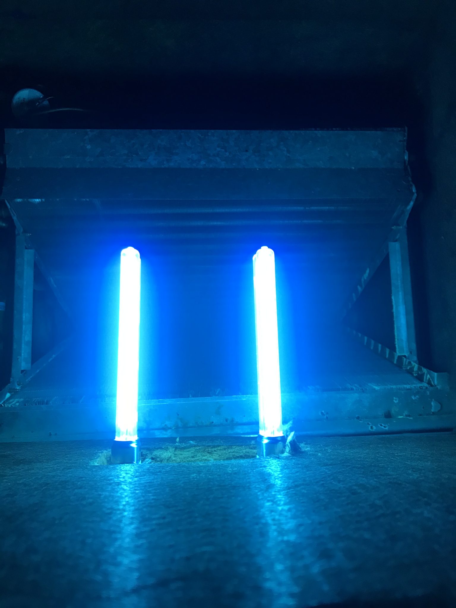 Does UV lights kill viruses?