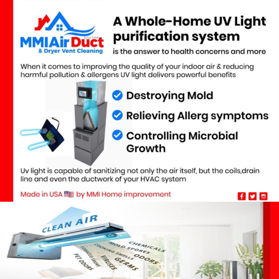 How do UV light sanitizers work?