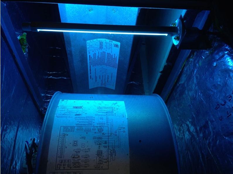 How do UV light sanitizers work?